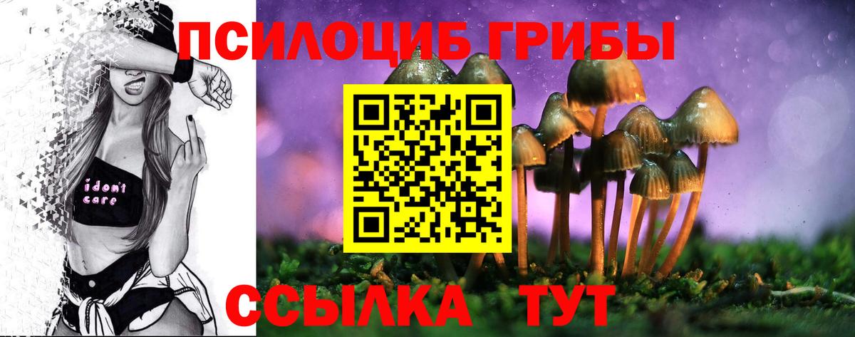 Псков  Галлюциногенные грибы прущие грибы  Вход с VPN 