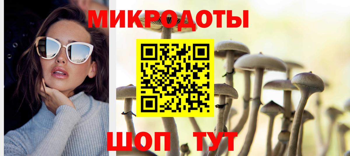 Галлюциногенные грибы прущие грибы Псков